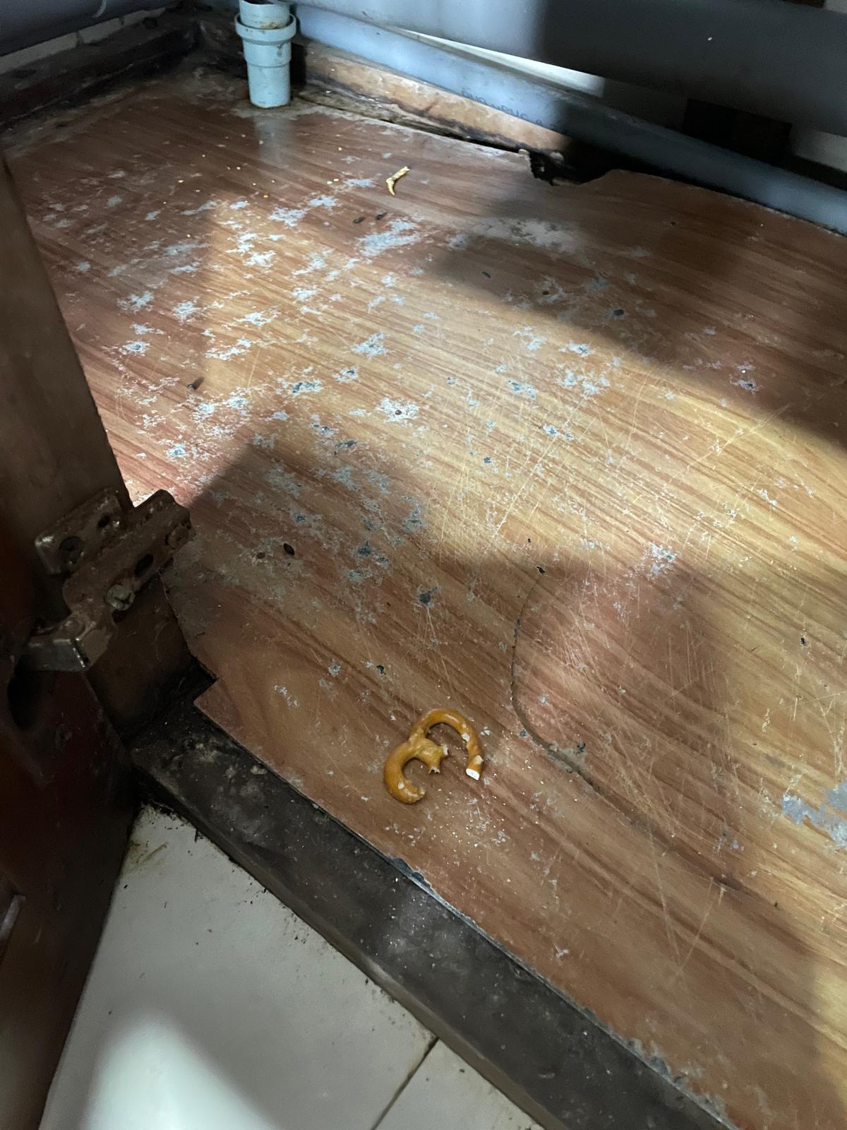 A cupboard floor scattered with droppings and one abandoned pretzel